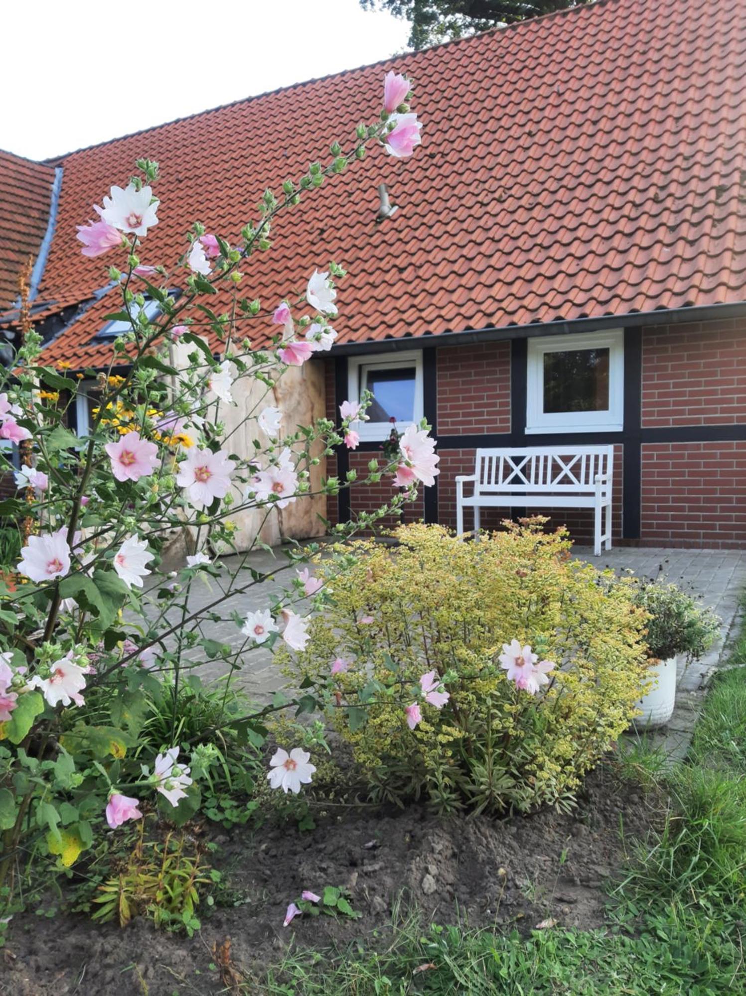 Ferienwohnung Auf Dem Land Ladbergen Экстерьер фото